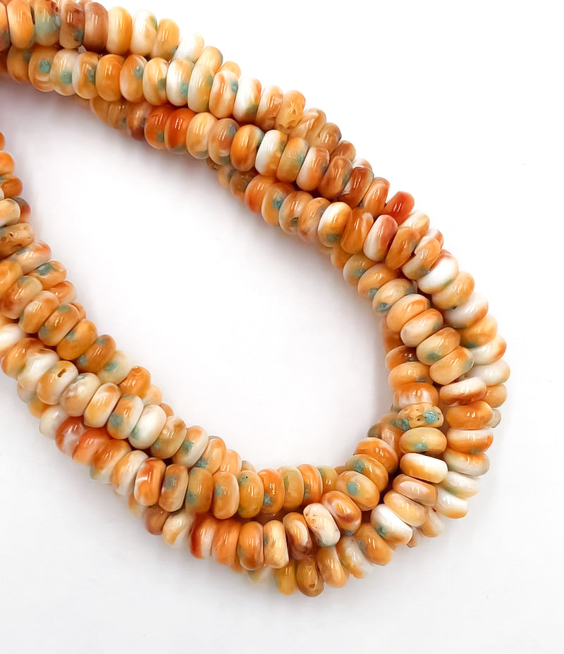 Spiny Oyster with Turquoise Smooth Rondelle Beads Size 4x6mm 4x8mm 16'' Strand