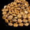 Natural Picture Jasper Heart Shape Beads Size 20mm 15.5'' Strand