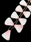 Pink Queen Conch Shell Graduated Twist Teardrop Size 25x30-30x35mm 15.5" Strand