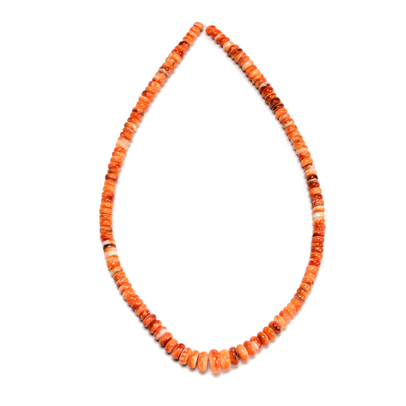 Graduated Natural Spiny Oyster Smooth Rondelle Beads Size 3-6x4-11mm 16" Strand