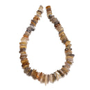 Graduated Natural Botswana Agate Irregular Slice Discs Beads 12-20mm 16" Strand