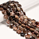 Natural Petrified Wood Five-Pointed Star Shape Beads Size 15mm 15.5" Strand