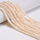 Natural White Fresh Water Pearl Ringed Potato Beads Size 4-5x5-6mm 16'' Strand