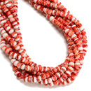 Natural Red Spiny Oyster Smooth Rondelle Beads Size 5x6mm 16" Strand