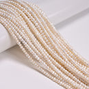 Natural White Fresh Water Pearl Rondelle Beads Size 2x3mm 3x5mm 4x6mm 15''Strand