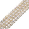 Fresh Water Pearl White Oval Rice Beads 6x8mm 7x9mm 8x10mm 15.5" Strand