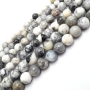 Dendritic White Agate Smooth Round Beads 4mm 6mm 8mm 10mm 12mm 15.5" Strand