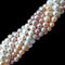multi color freshwater pearl potato shape beads