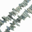 Natural Green Kyanite Rough Stick Point Beads Size 6-8mm x 16-35mm 15.5" Strand