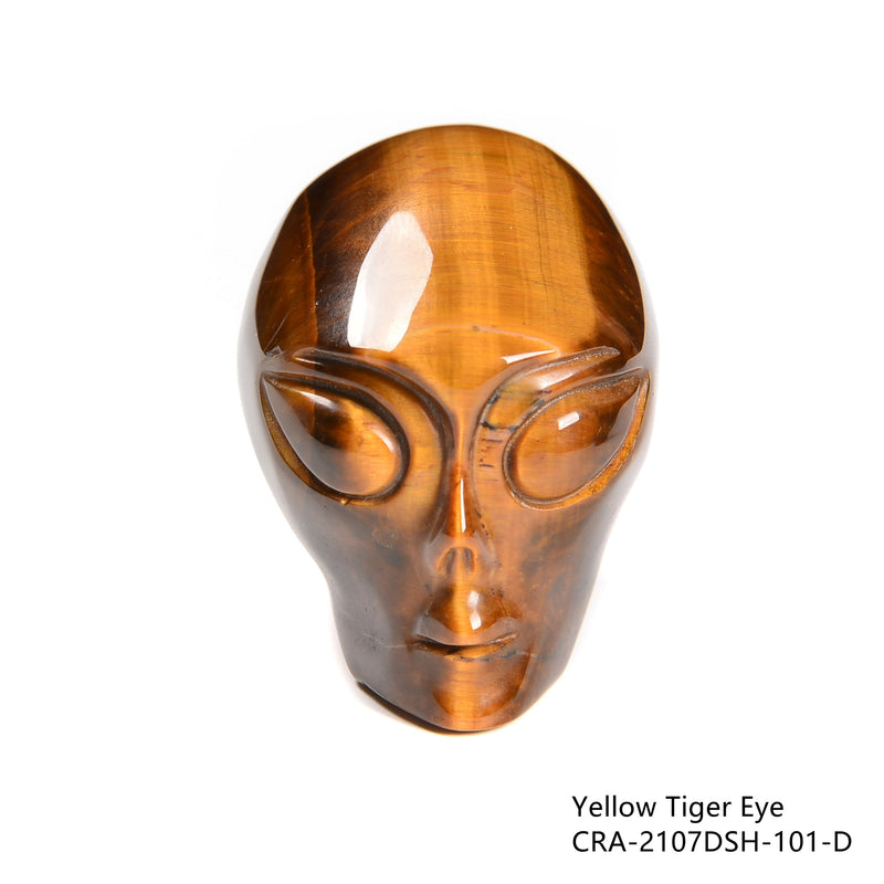 African Bloodstone/Aventurine/Crazy Agate/Tiger Eye Carved Alien Head Size 2''