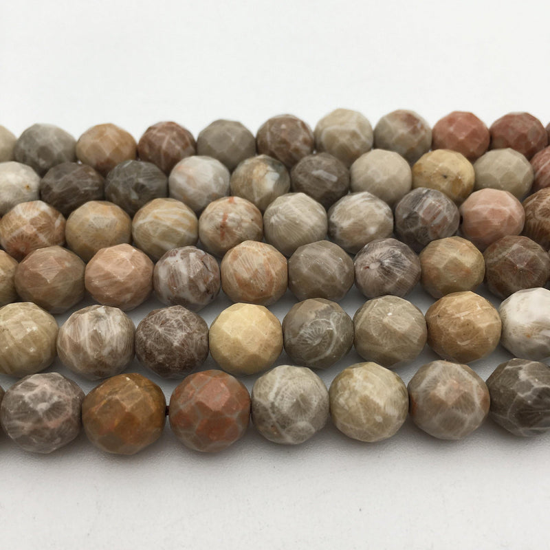 natural fossil coral faceted round beads