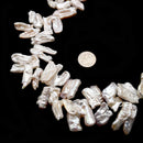 Fresh Water Pearl White Keshi Biwa Teeth Shape Beads 20-25mm 14" Strand