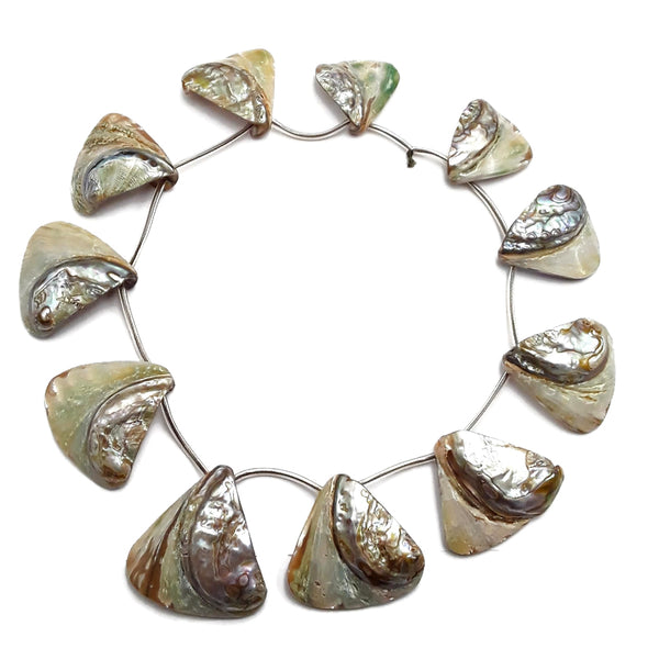 natural abalone graduated triangle shell beads