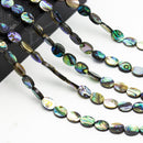 abalone oval shape beads