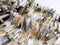 dendritic montana agate graduated slice Sticks Points beads