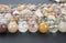 multi color rutilated quartz smooth round beads