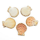 brown gold plated edge sea shell pendant