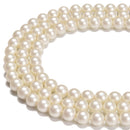 White Shell Pearl Matte Round Beads 6mm 8mm 10mm 15.5" Strand