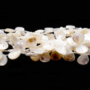 MOP Shell Teardrop Beads 13x13mm 15x15mm 15.5" Strand