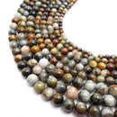 Multi-Color Eagle Hawk's eye smooth round beads 