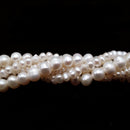 Fresh Water Pearl White Potato Rondelle Button Beads 2x3mm 3x4mm 5x6mm 15.5" Strand