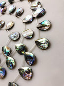 natural abalone teardrop shape beads
