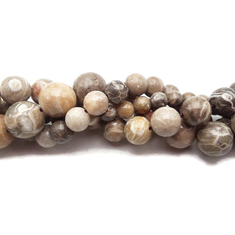Natural Fossil Coral Smooth Round Beads 4mm 6mm 8mm 10mm 12mm 15.5" Strand