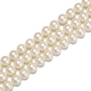 White Shell Pearl Matte Round Beads 6mm 8mm 10mm 15.5" Strand