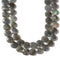 Natural Labradorite Faceted Coin Beads Size 15mm 15.5'' Strand