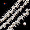 Fresh Water Pearl White Keshi Top Drilled Coin Flakes Beads 10-15mm 15.5" Strand