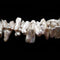 Fresh Water Pearl White Keshi Biwa Double Point Sticks Beads 15x20mm 14" Strand