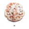 pink white jade hand carved chinese pendant