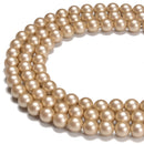 Light Champagne Shell Pearl Matte Round Beads Size 6mm 8mm 10mm 15.5'' Strand