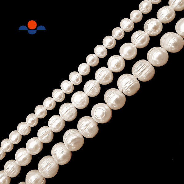 Fresh Water Pearl White Ringed Potato Round Beads 5mm 6mm 8mm 10mm 12mm 15.5" Strand