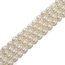 Natural Grade A Fresh Water Pearl Rice Shape Beads 6x8mm 7x8mm 14.5'' Strand