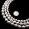 Fresh Water Pearl White Oval Rice Beads 6x8mm 7x9mm 8x10mm 15.5" Strand