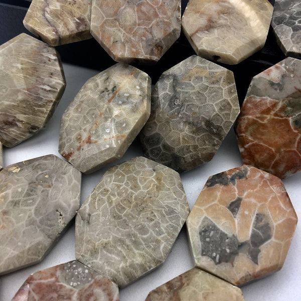 natural fossil coral rectangle slice faceted octagon beads