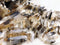 dendritic montana agate graduated slice Sticks Points beads