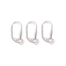 304 Stainless Steel Earring Hook Size 9x18mm 20 Pieces per Bag