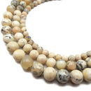 African White Opal Smooth Round Beads 4mm 6mm 8mm 10mm 15.5" Strand