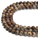 Natural Coffee Ocean Fossil Jasper Smooth Round Beads Size 6mm 8mm 15.5'' Strand