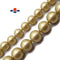 Gold Tan Shell Pearl Smooth Round Beads Size 8mm 10mm 15.5" Strand