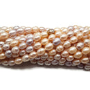 Multi Peach Pink Fresh Water Pearl Ringed Oval Rice Beads 6x8mm 7x9mm 15.5"Strnd