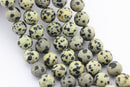 dalmatian jasper matte round beads 