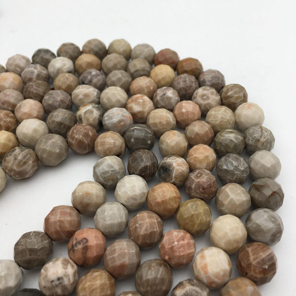 natural fossil coral faceted round beads