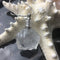 clear quartz perfume bottle pendant necklace small and large 