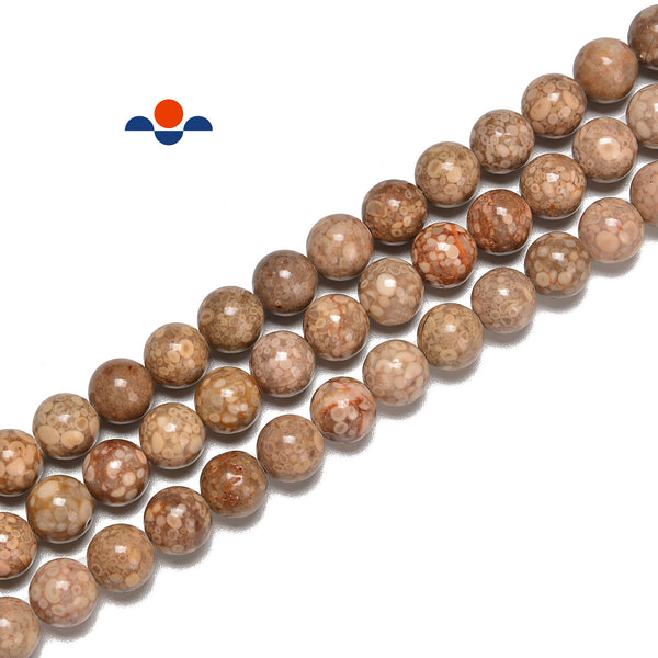 Natural Ocean Fossil Jasper Smooth Round Beads Size 6mm 8mm 10mm 15.5" Strand