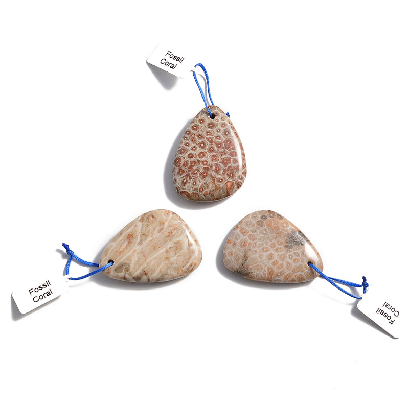 fossil coral pendant teardrop or irregular shape 