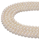 Grade B White Fresh Water Akoya Pearl Oval Beads Size 7-8mm 15.5'' Strand