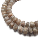 Gray Moonstone Faceted Irregular Rondelle Wheel Beads Approx 8x12mm 15.5" Strand